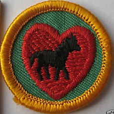 Scouting & Group Rentals